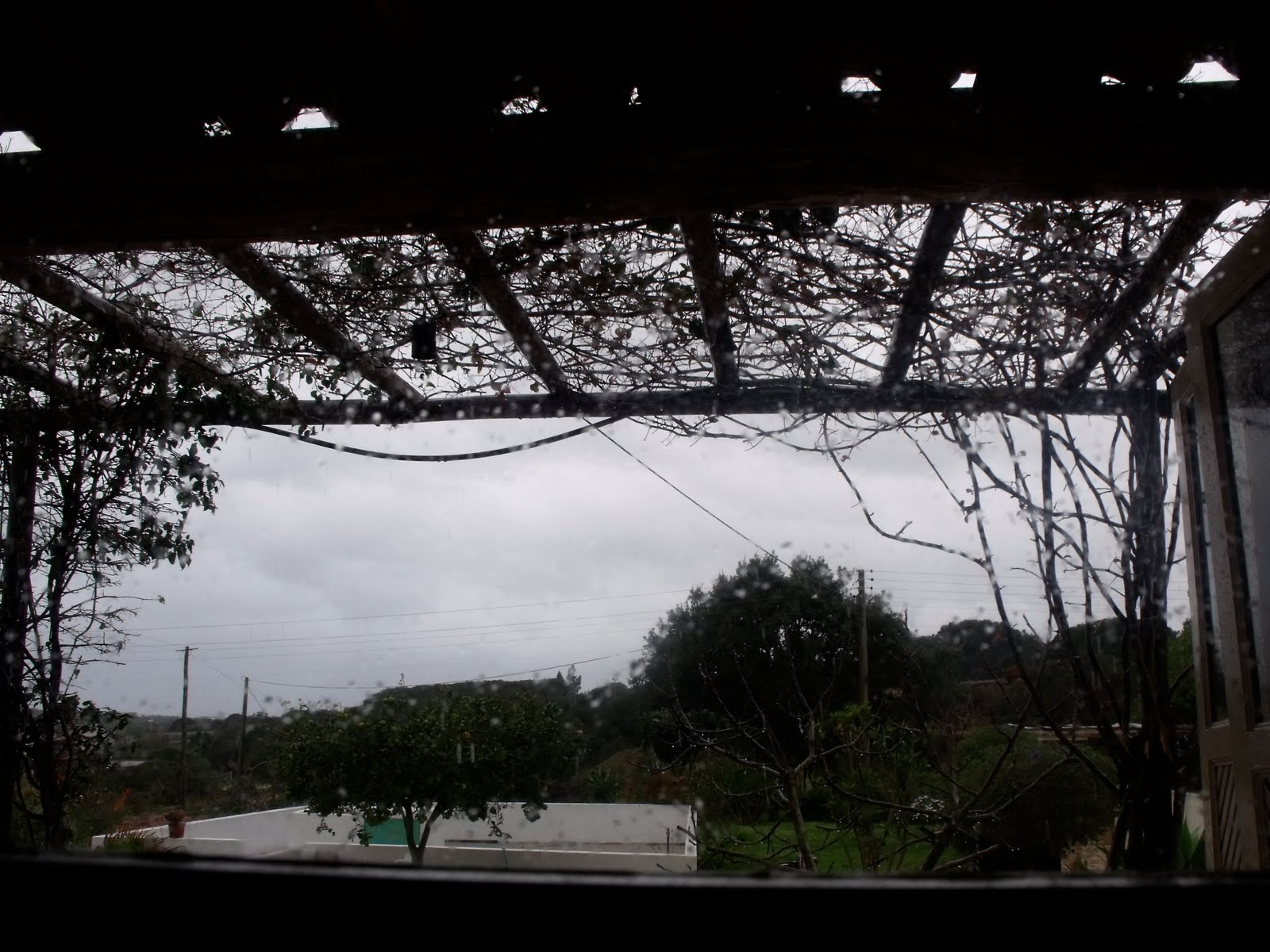 [DSCF0263.JPG]