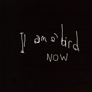 I+am+a+bird+now.jpg