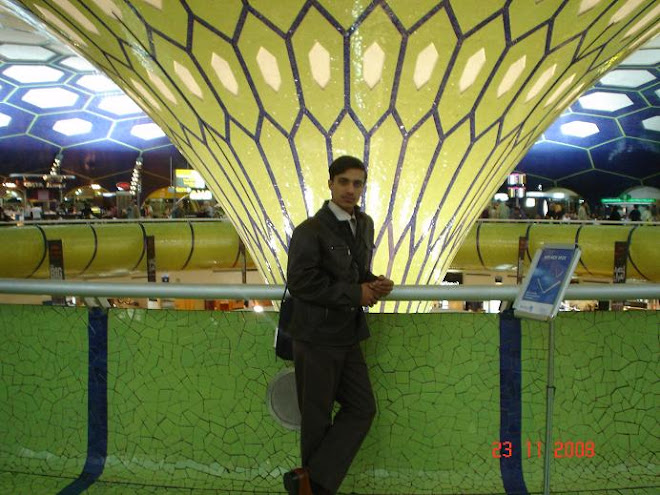 UAE_Abu Dabi International Airport, Nov.2008