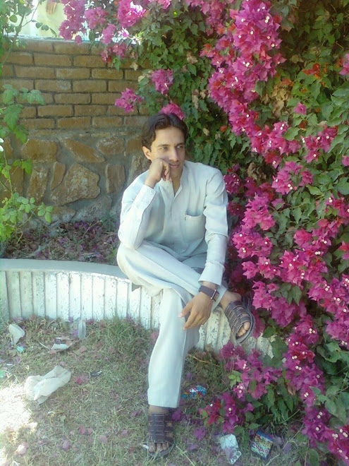 Farm Hada, Jalalabad, May 2010
