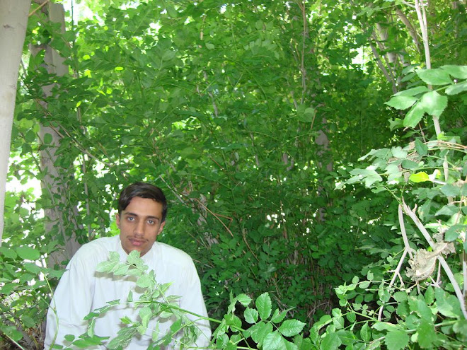 Char asyab District, Kabul, 2007