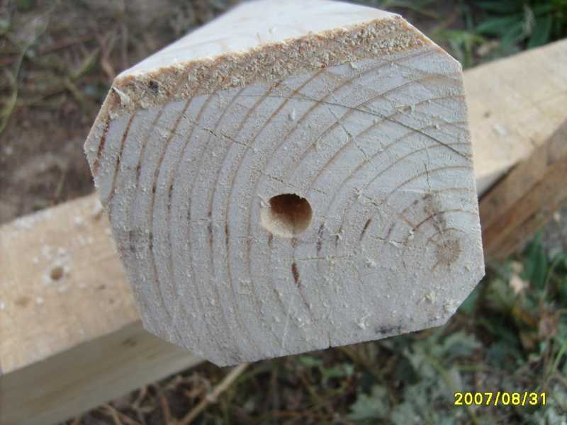 [Image00033.jpg]