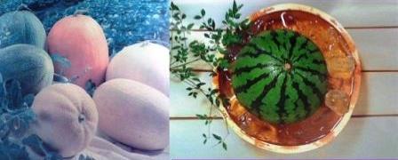 Melon || Timunsuri || Watermelon