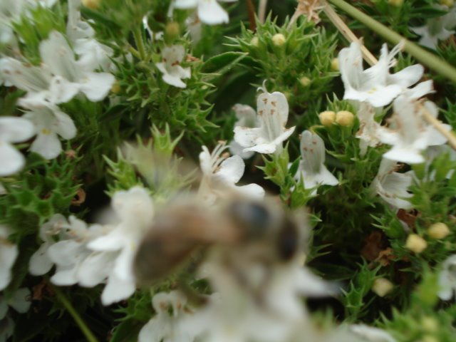[DSC01258.JPG]