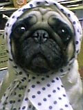 My Photo