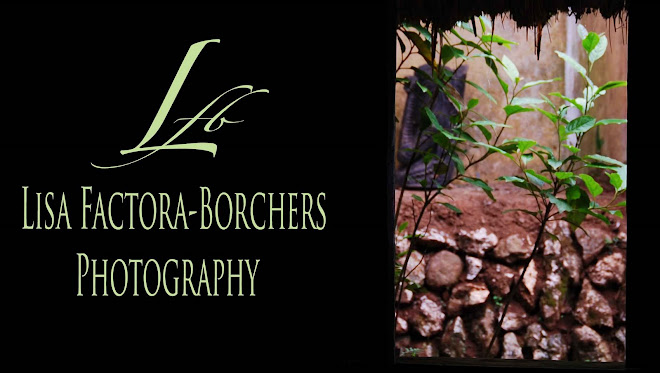 Lisa Factora-Borchers Photography