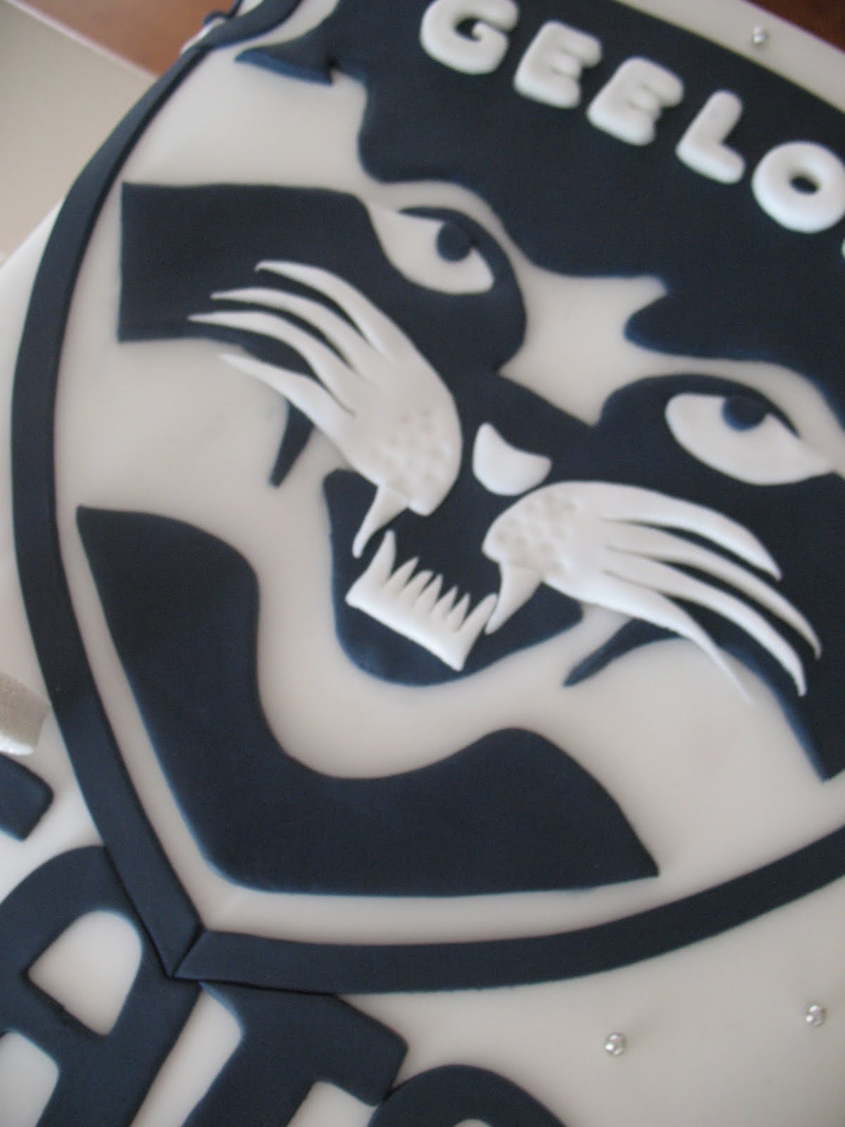 Sandy's Cakes Geelong Cats