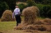 Saving Hay the old fashioned way