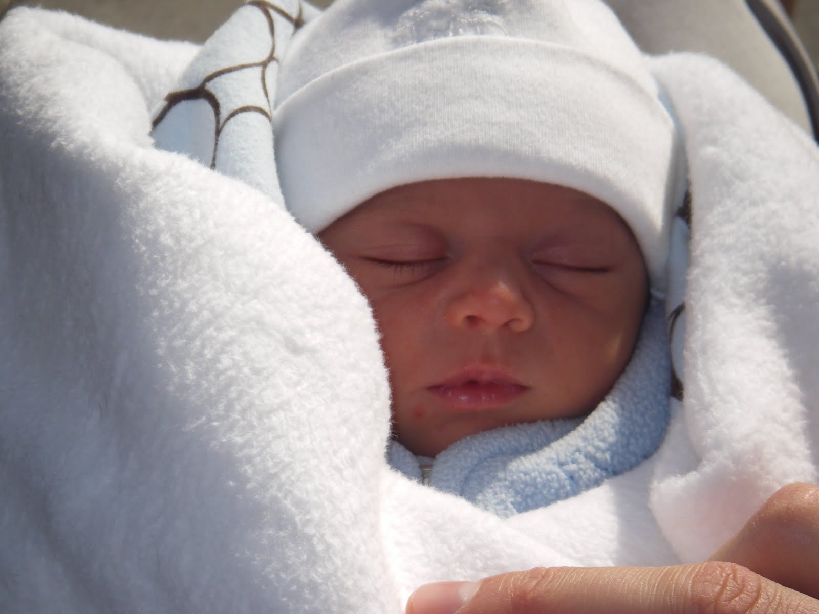 Our little Swiss Mountain baby boy&hellip; August 17th I am 4 months old!