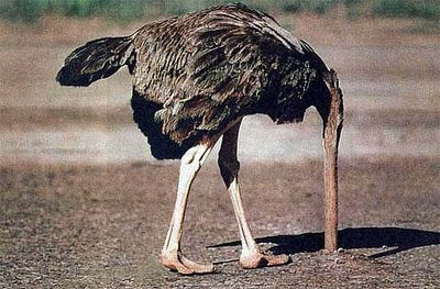 ostrich+syndrome.jpg