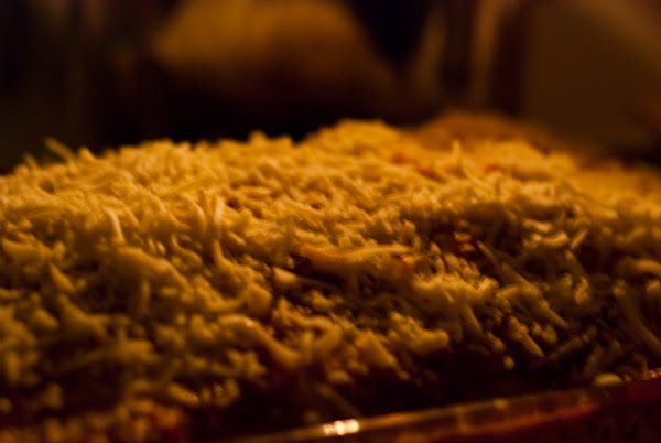 [lasagna.jpg]