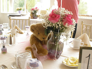 teddy teddy