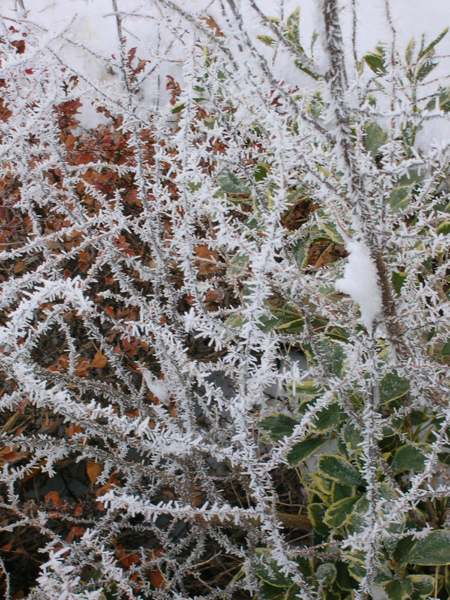[DSCN4137-1.JPG]