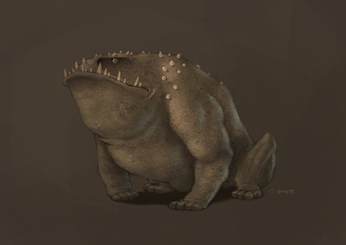 [toad.jpg]