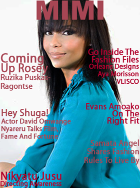 MIMI Magazine The Editor's Blog MIMI Magazine Spring 2010 Issue Live