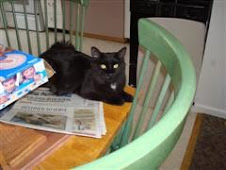 Meg Back on the Table Again