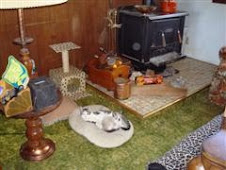 One of the First Litter, and One of the Last litter