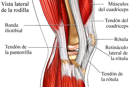 Lfk para la osteocondrosis de pecho