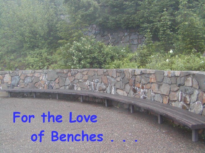 For the Love Of Benches  Continued . . .