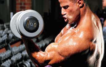 Bodybuilding Routines Routines Of Experts Biceps Advanced Routine Mike Matarazzo Bodybuilding Routines Routines Of Experts Biceps Advanced Routine Mike Matarazzo