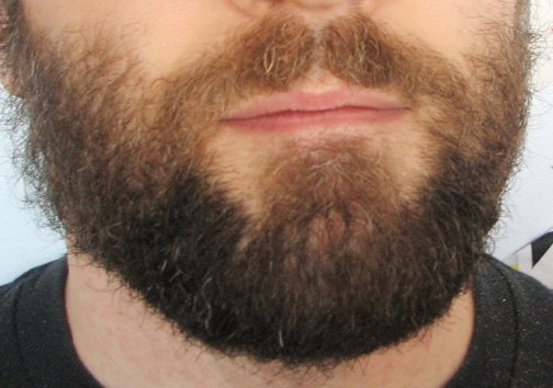 [Beard.bmp]