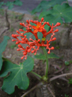 [P1000068.gif]