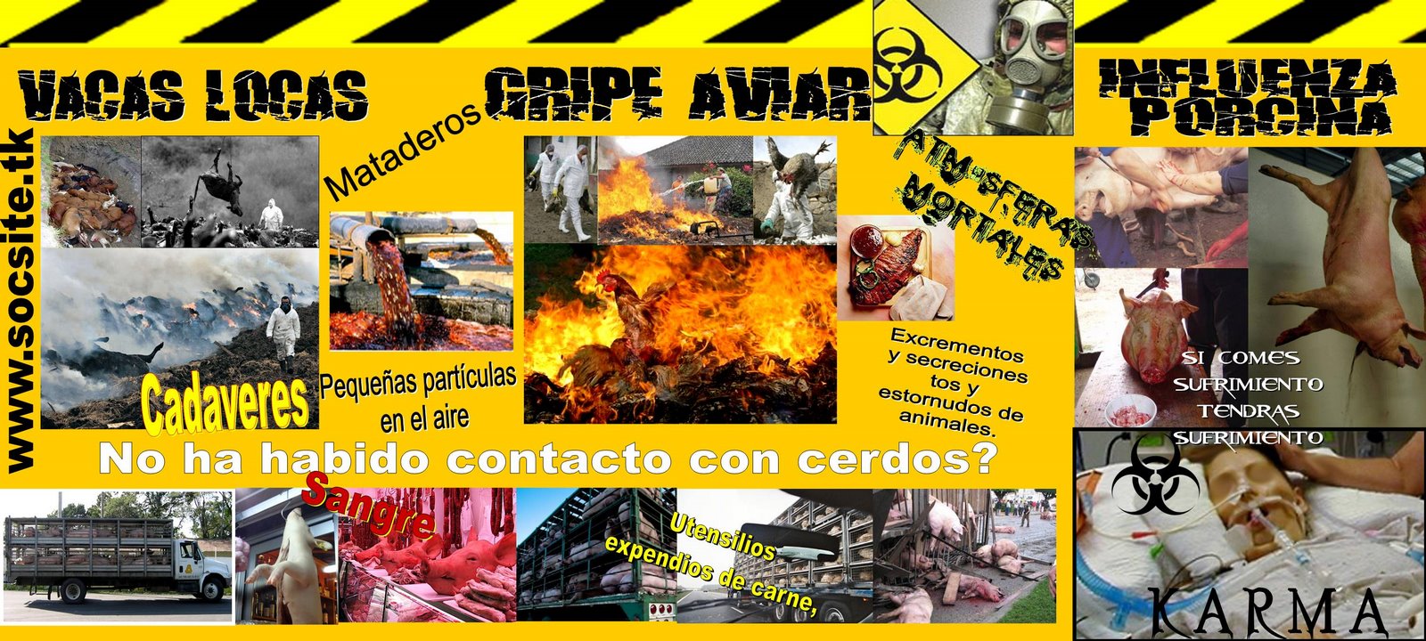 [lmagenblogchafaporcinaborrar.jpg]