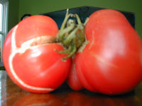 Thteed Freak Mutant Tomato