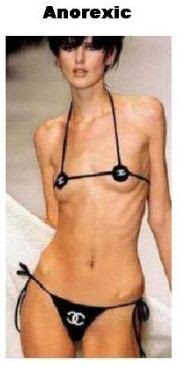 Women+body+types