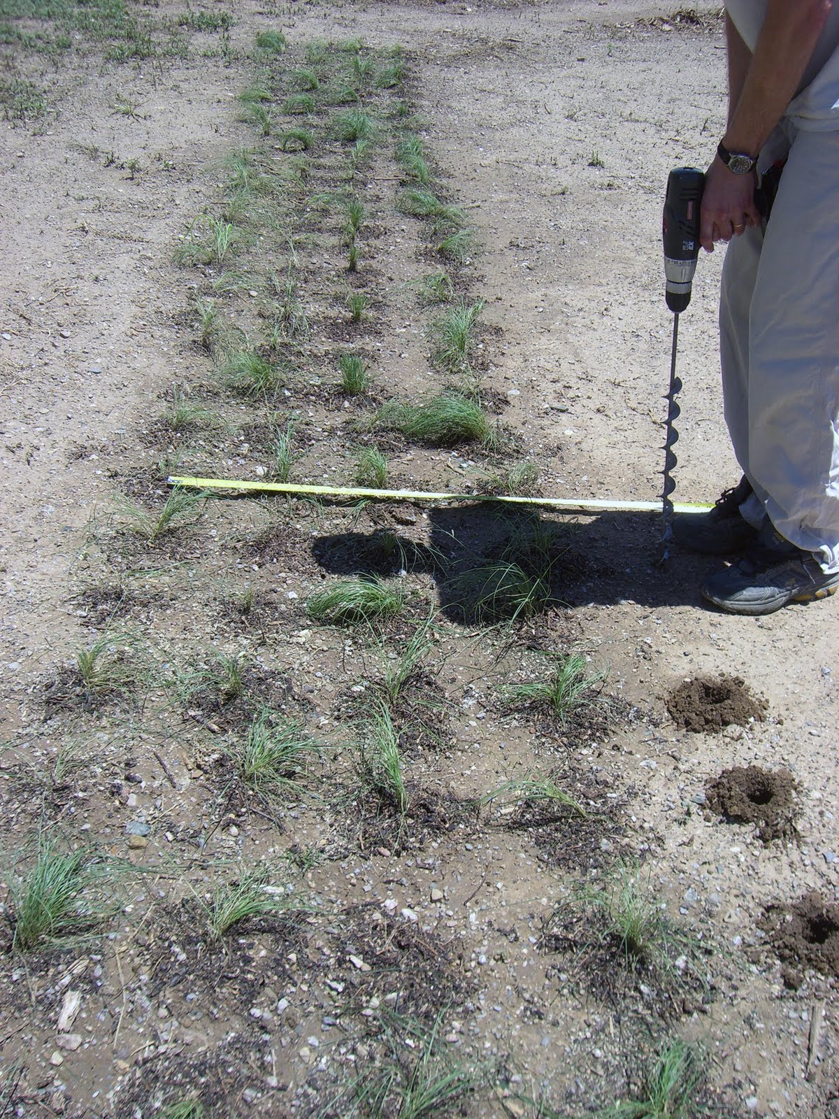 Home. Kids. Life. Plugging In Grass