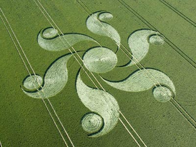 [crop-circle-12.jpg]