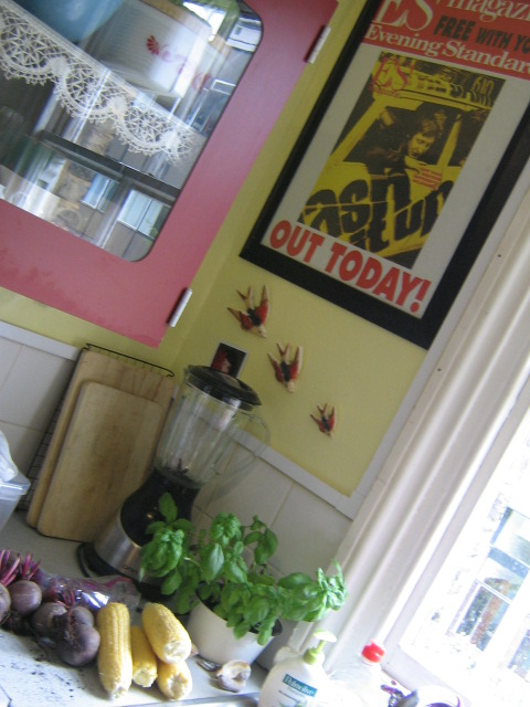 [kitchen5.jpg]