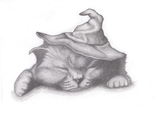 Kot w kapeluszu ( ołówek ) A4