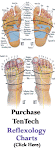 Order Your Foot Reflexology Charts