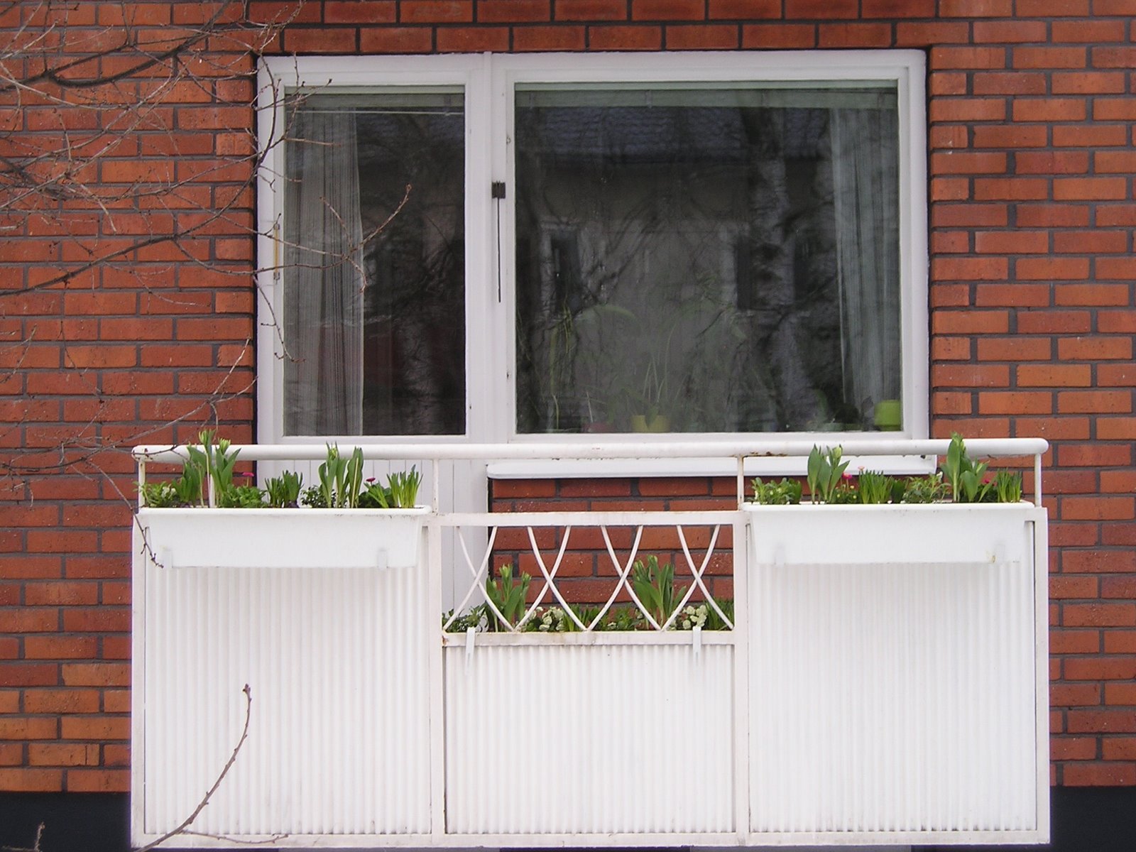[P2010001.JPG]