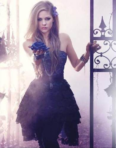 Avril Lavigne Forbidden Rose Perfume. Here#39;s the Avril Lavigne