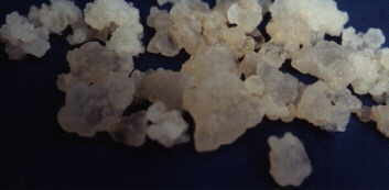 Earthling Waterkefir