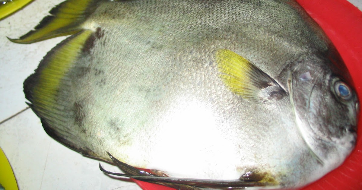 Pinay Mountain Chef Sinugbang Isdang Bato/ Grilled Reef Fish