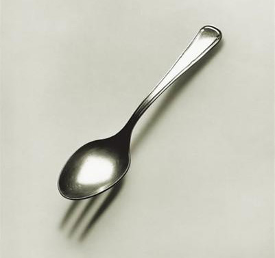 [spork.jpg]