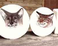 [catsndogs.jpg]