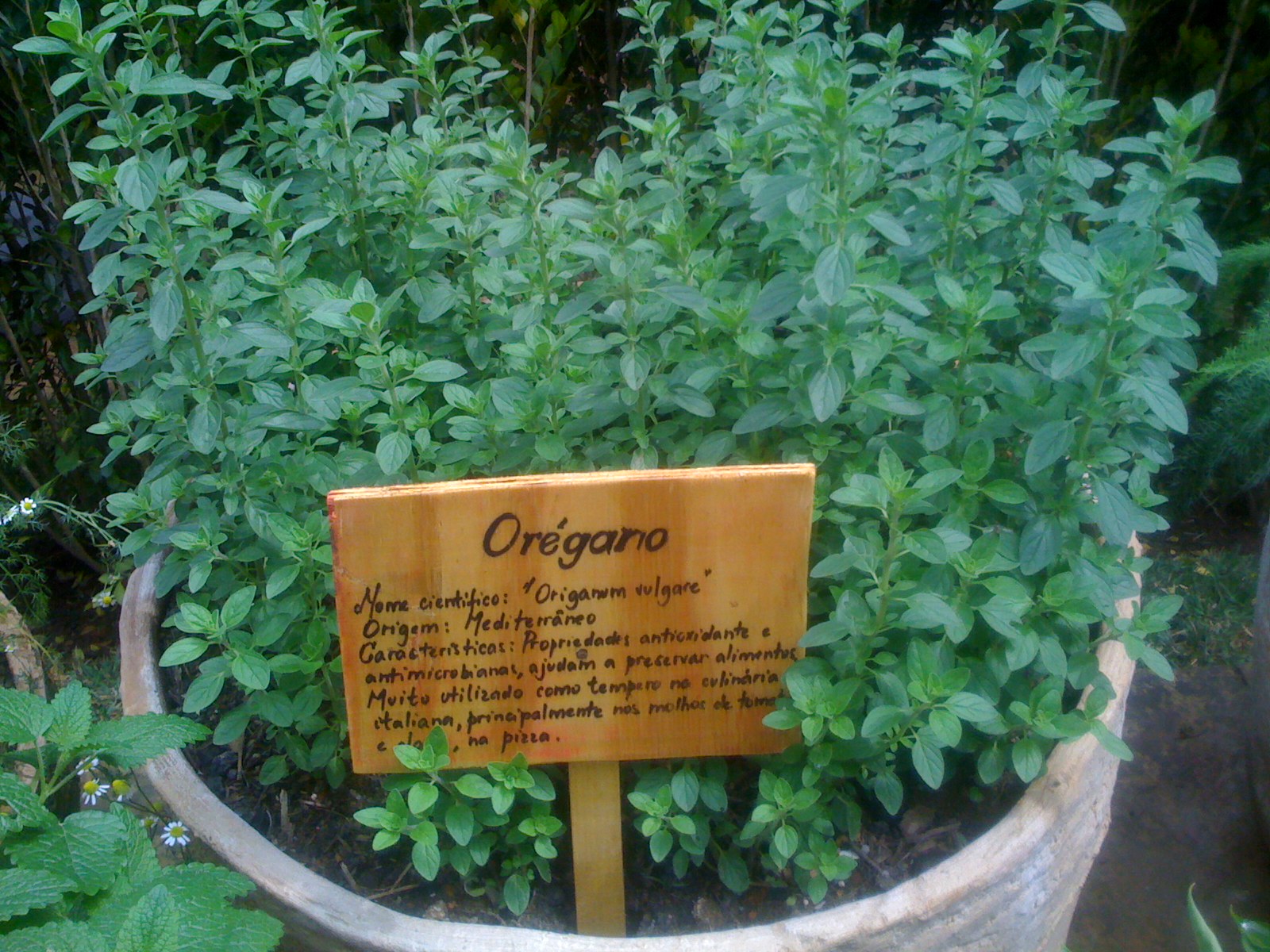 [IMG_0219.JPG]