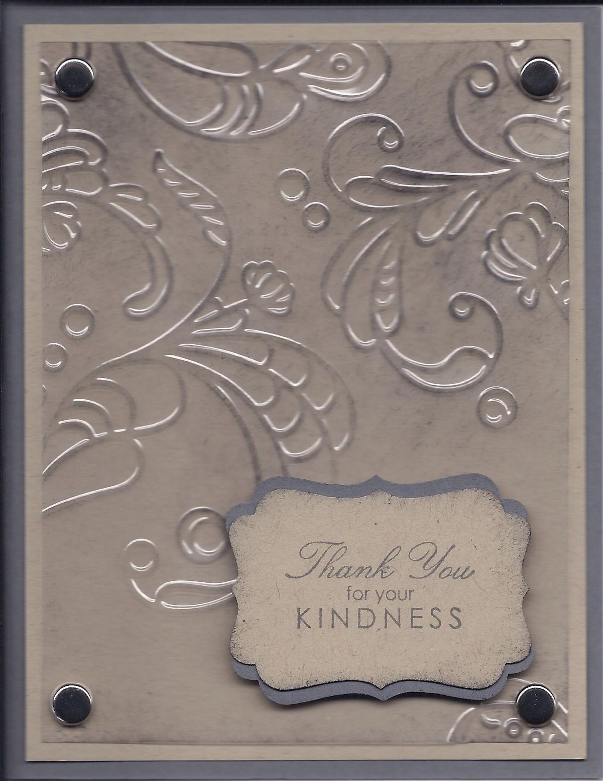 Create and Enjoy Embossed Acetate