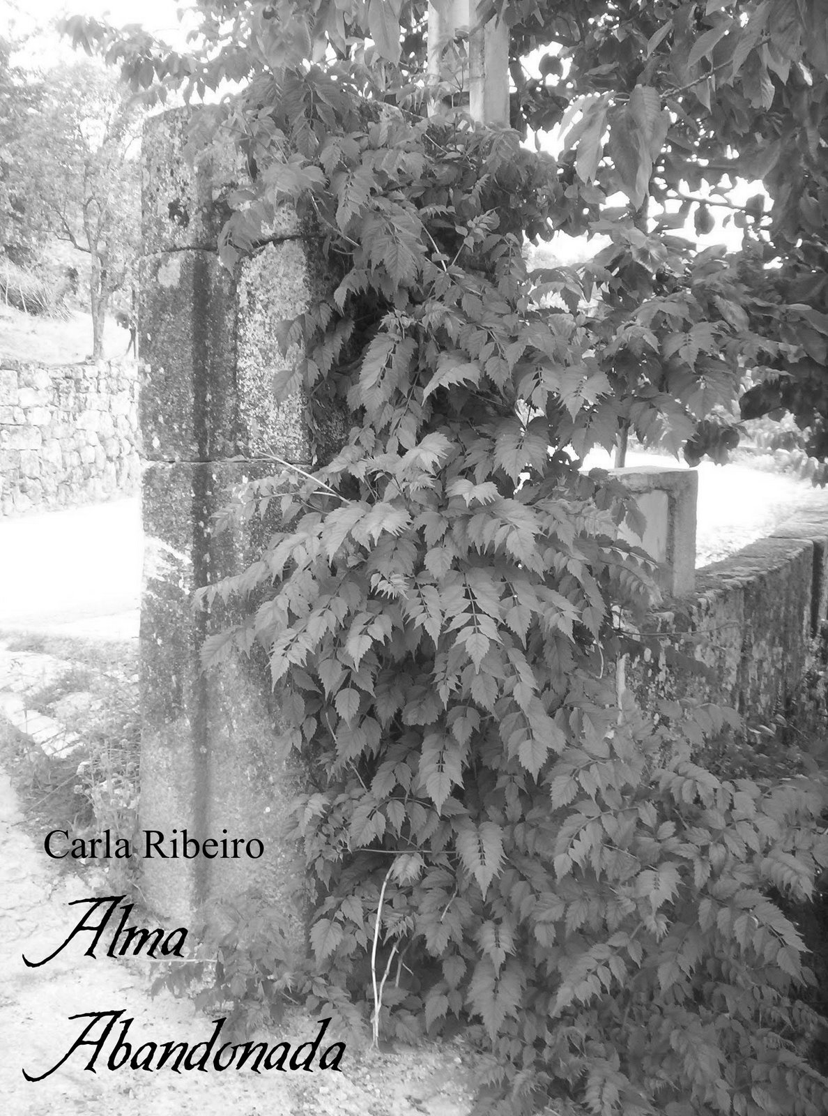 [Alma+Abandonada.jpg]