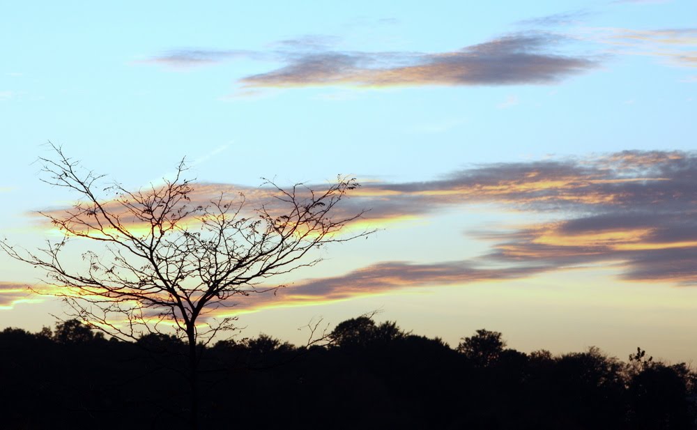 [Pat+Knowles+-+Sunset.JPG]
