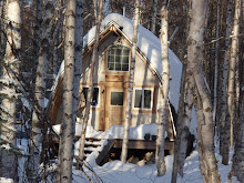 my little cabin in Talkeetna