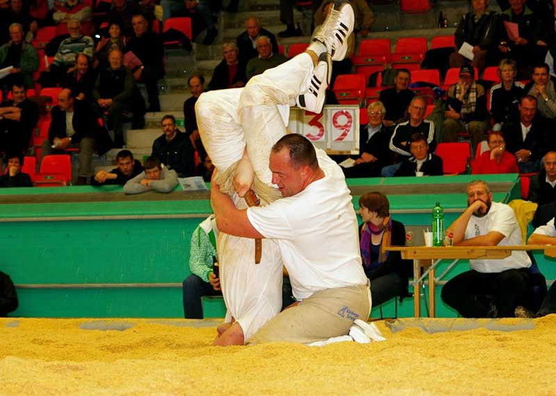 [Berchtoldsschwinget_2010.jpg]