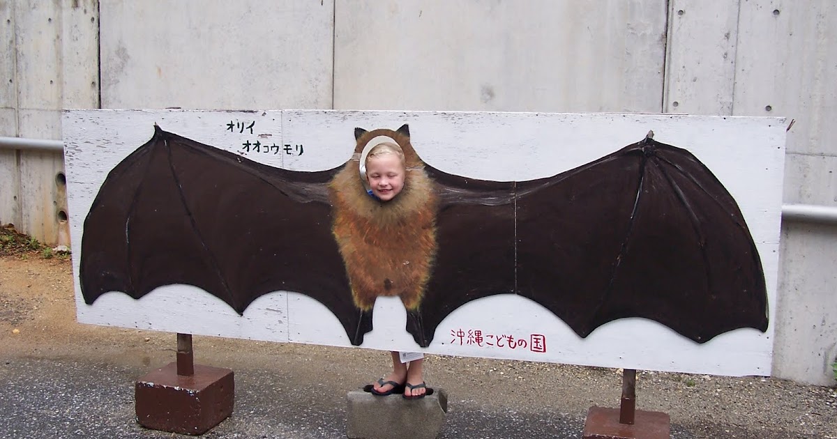 3 Years in Okinawa Okinawa Zoo