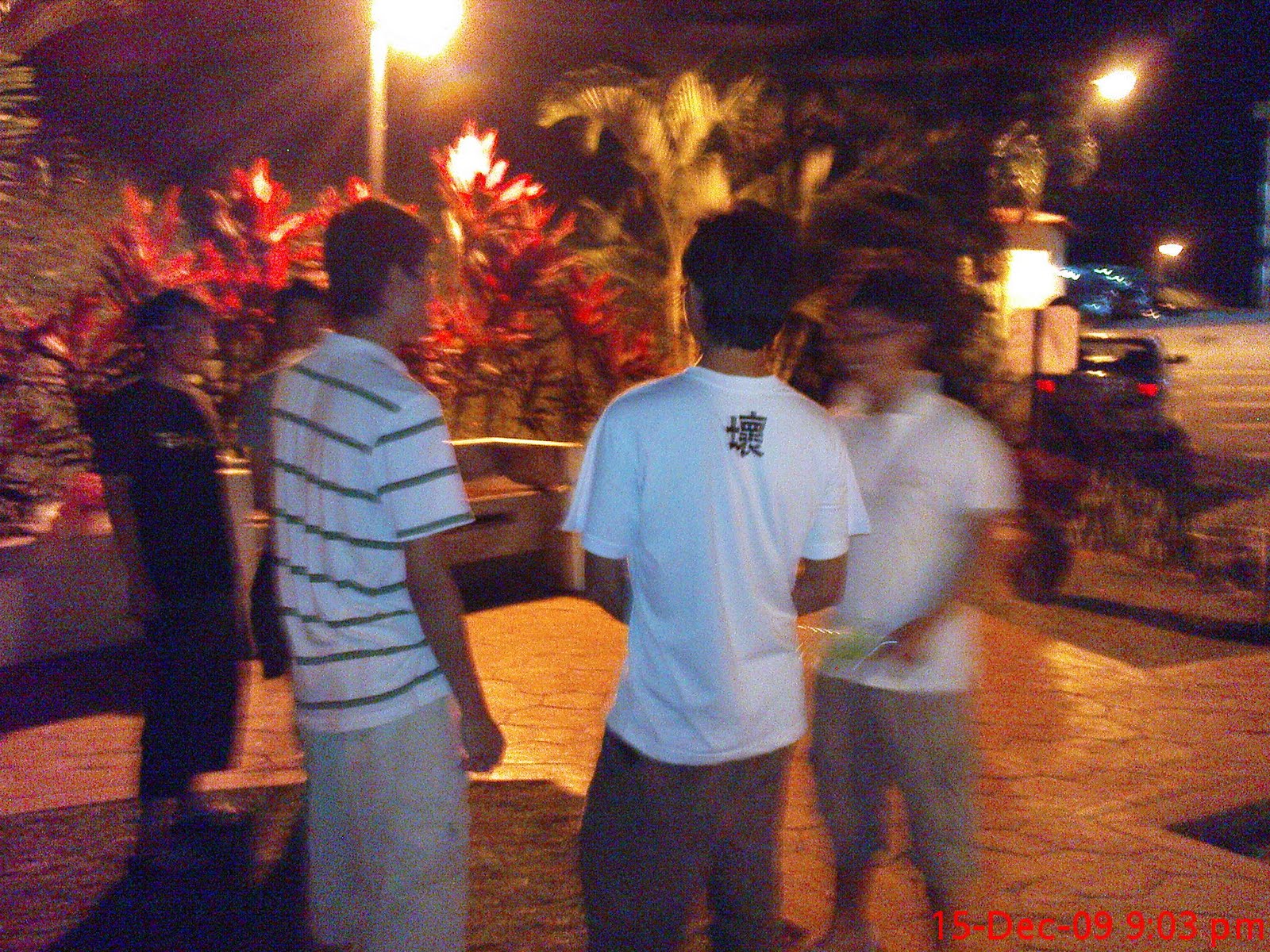 [DSC00917.JPG]