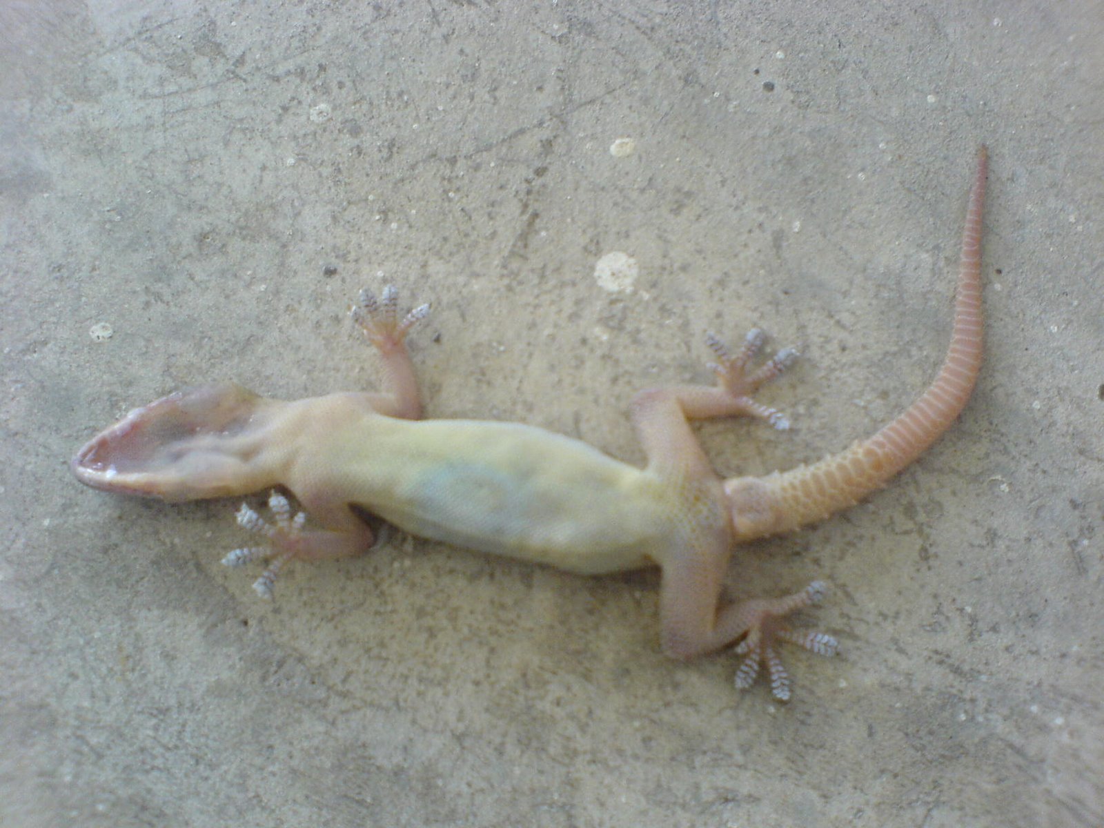 [DSC00891.JPG]
