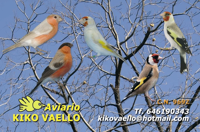 AVIARIO KIKO VAELLO